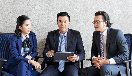 Interim Executives